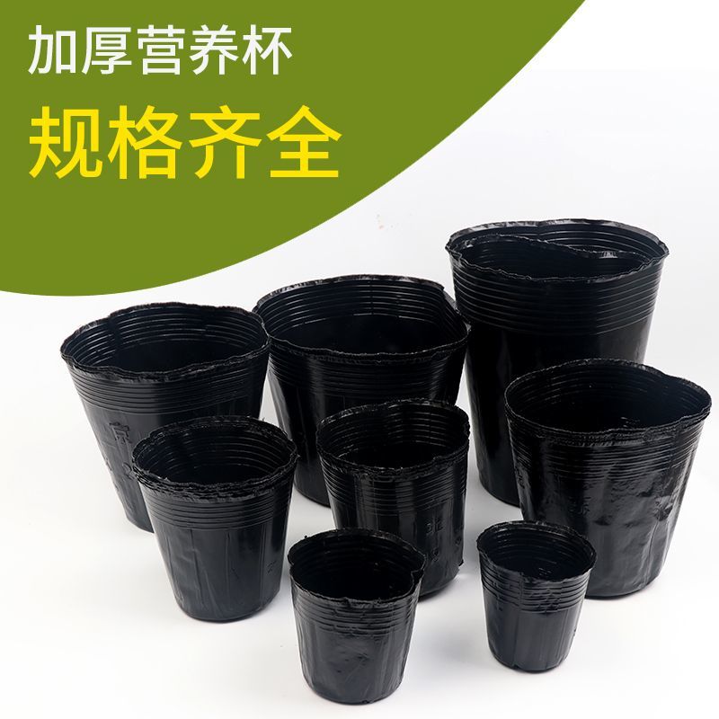 营养钵营养杯育苗袋育苗杯全新料多种规格
