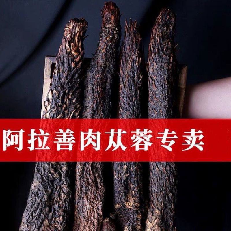 中药材阿拉善肉苁蓉大芸沙漠人参地精金笋软黄金批发零售