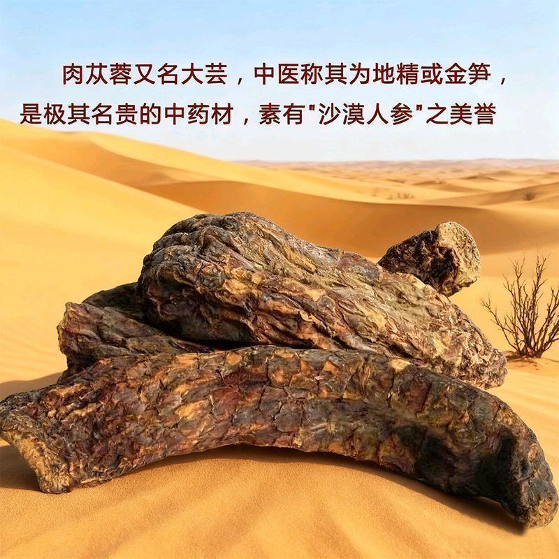 中药材阿拉善肉苁蓉大芸沙漠人参地精金笋软黄金批发零售