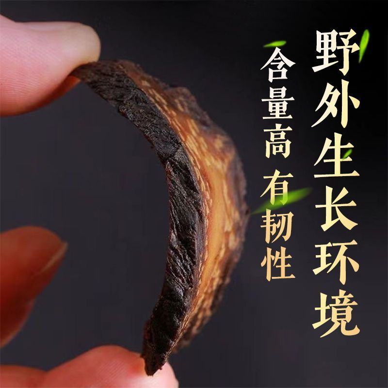 中药材阿拉善肉苁蓉大芸沙漠人参地精金笋软黄金批发零售