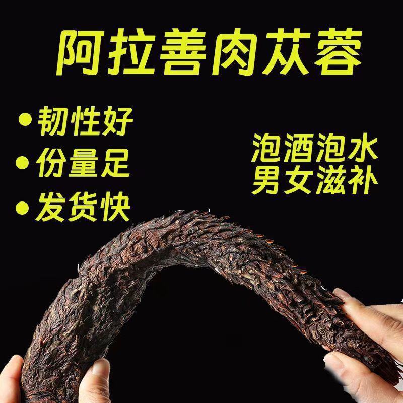 中药材阿拉善肉苁蓉大芸沙漠人参地精金笋软黄金批发零售