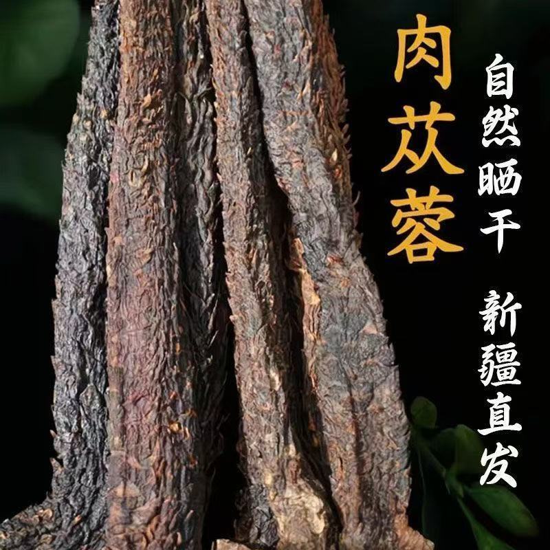 中药材阿拉善肉苁蓉大芸沙漠人参地精金笋软黄金批发零售