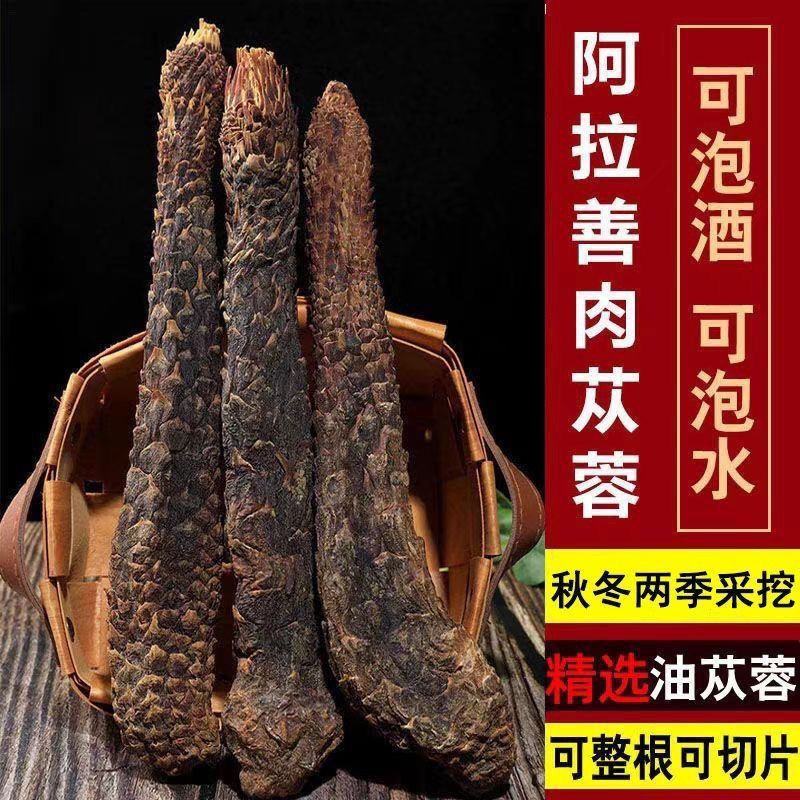 中药材阿拉善肉苁蓉大芸沙漠人参地精金笋软黄金批发零售