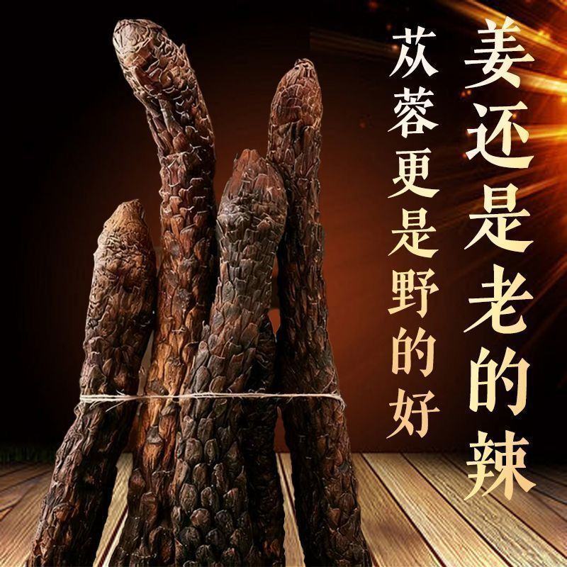 中药材阿拉善肉苁蓉大芸沙漠人参地精金笋软黄金批发零售