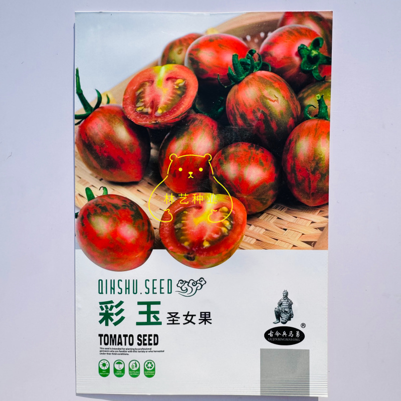 彩玉圣女果小番茄种子迷彩色小圣女果种籽水果樱桃番茄小西红