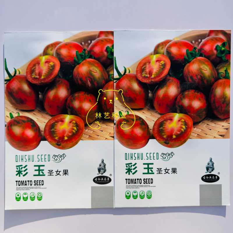 彩玉圣女果小番茄种子迷彩色小圣女果种籽水果樱桃番茄小西红