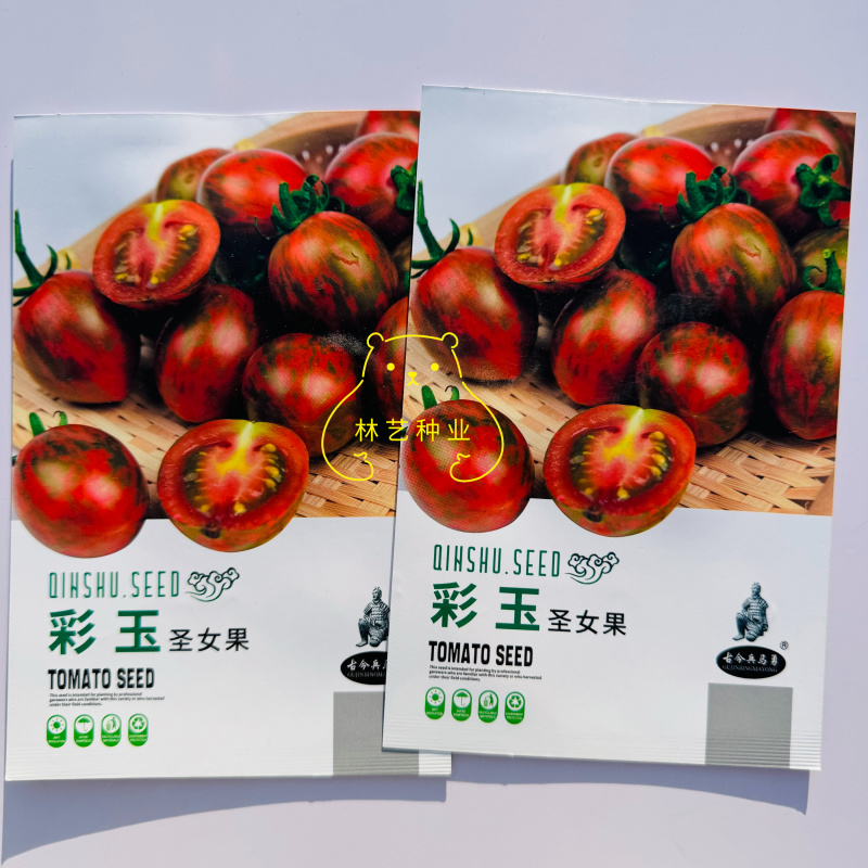 彩玉圣女果小番茄种子迷彩色小圣女果种籽水果樱桃番茄小西红