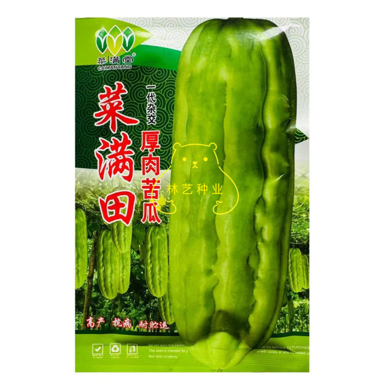 菜满田杂交中熟厚肉苦瓜种子颜色油绿略白有光泽瓜实耐裂耐
