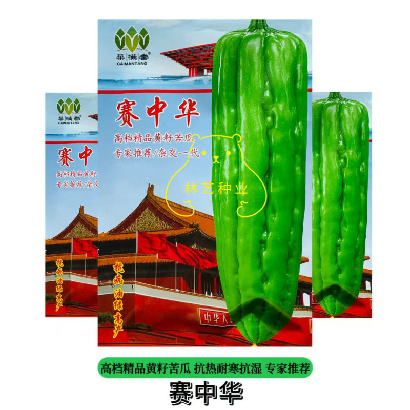 赛中华苦瓜种子高档精品黄籽抗病抗旱高产耐高温耐低温