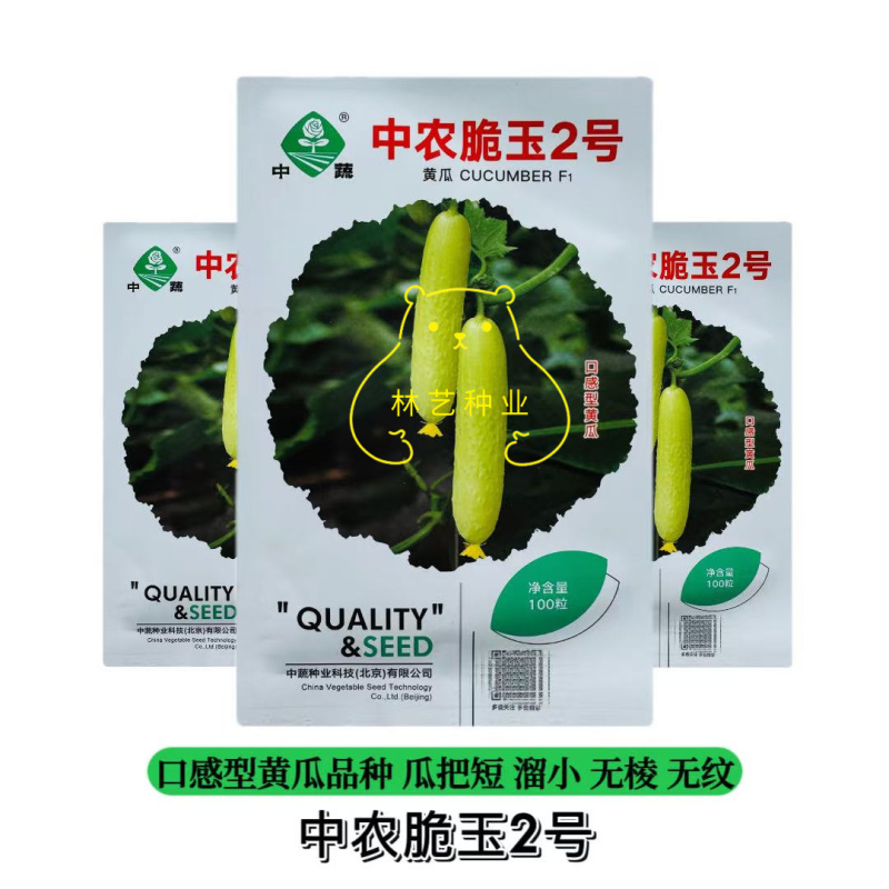 中农脆玉2号白黄瓜种子春秋保护地把短好吃脆甜