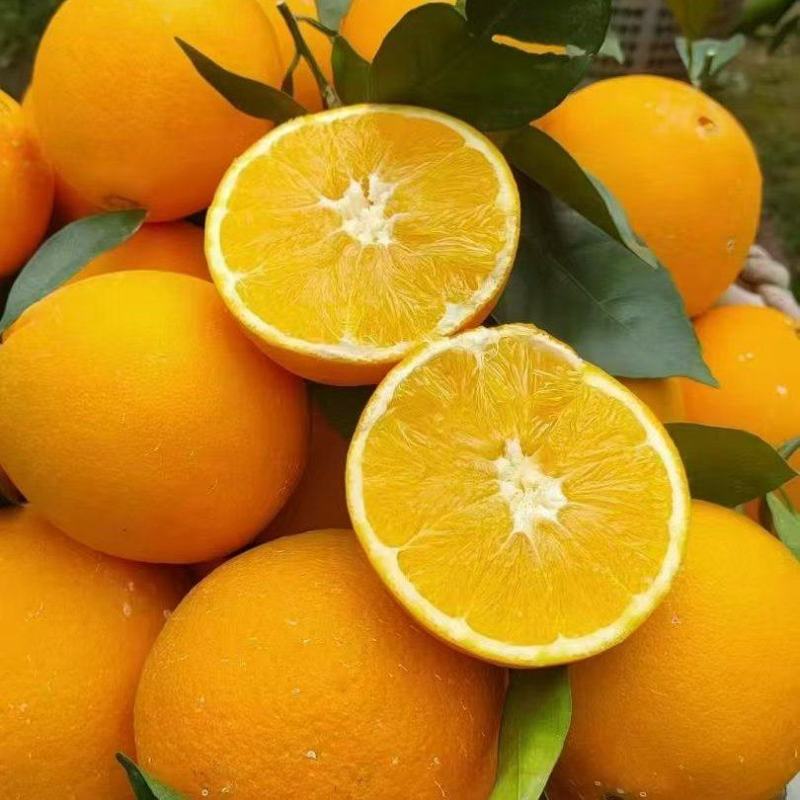 江西赣南脐橙