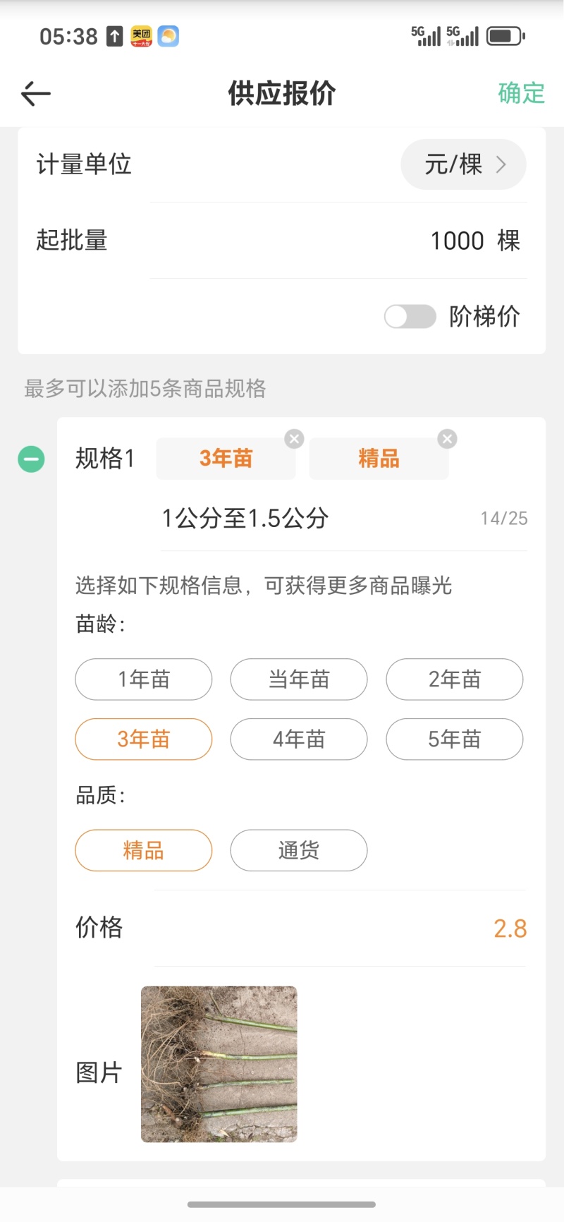 覆盆子苗