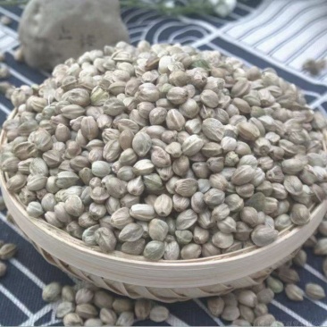 中颗粒饱满