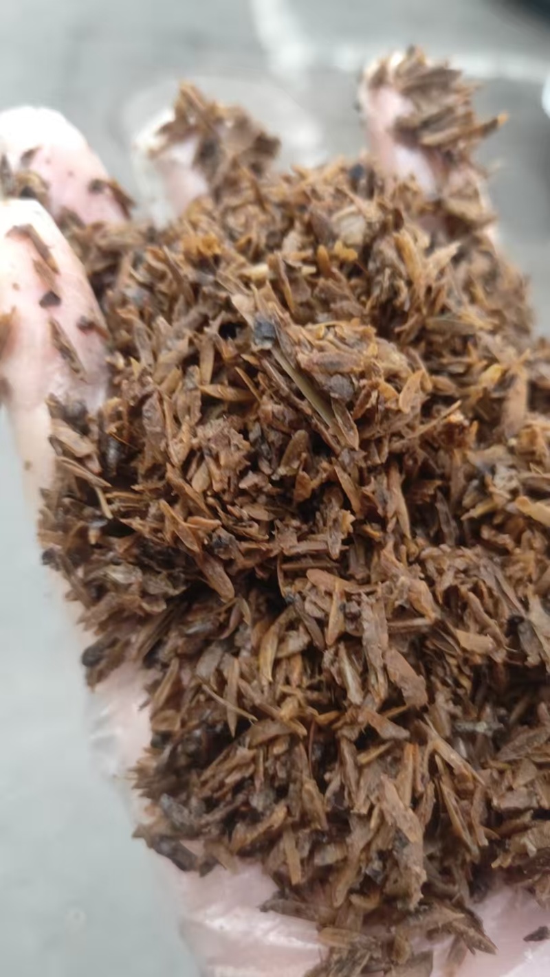 厂家直销酒糟，大厂家好质量