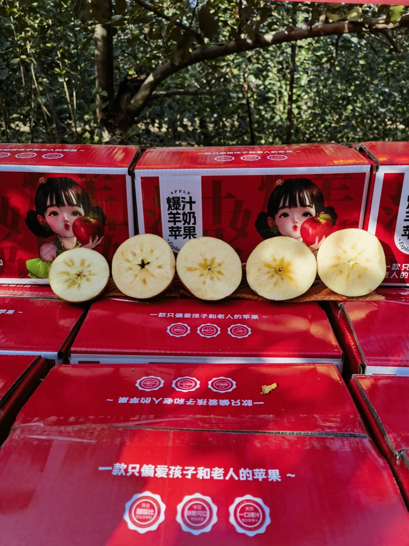 运城临猗苹果，冰糖心，水分足，颜色漂亮