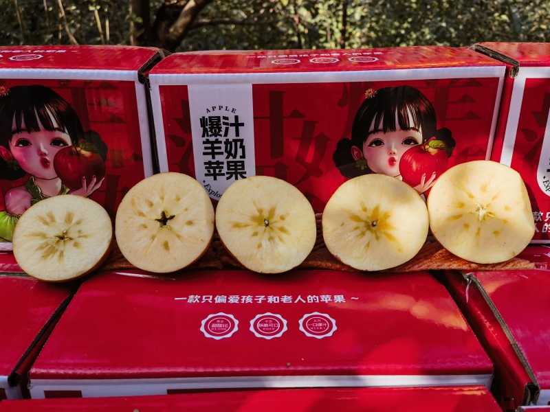 红富士苹果，冰糖心，水分足，糖度高