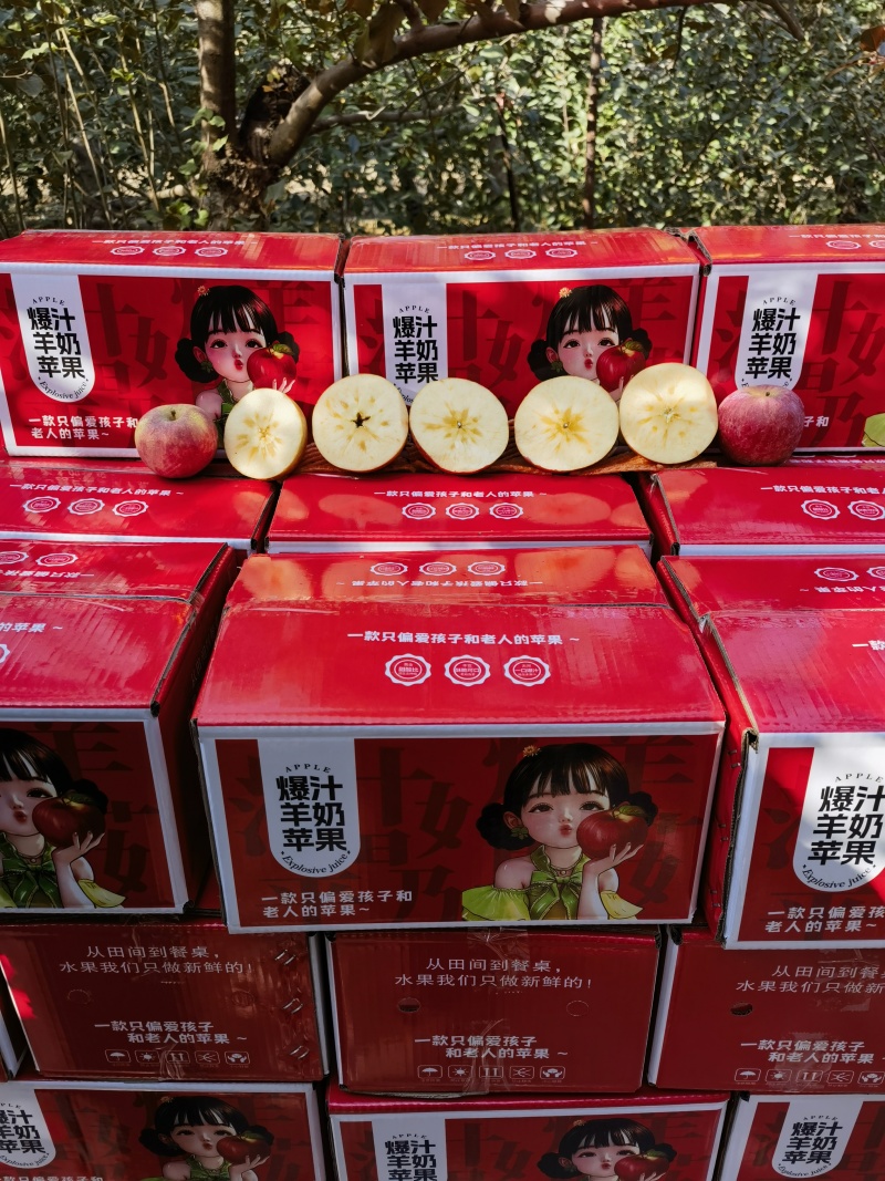 红富士苹果，冰糖心，水分足，糖度高