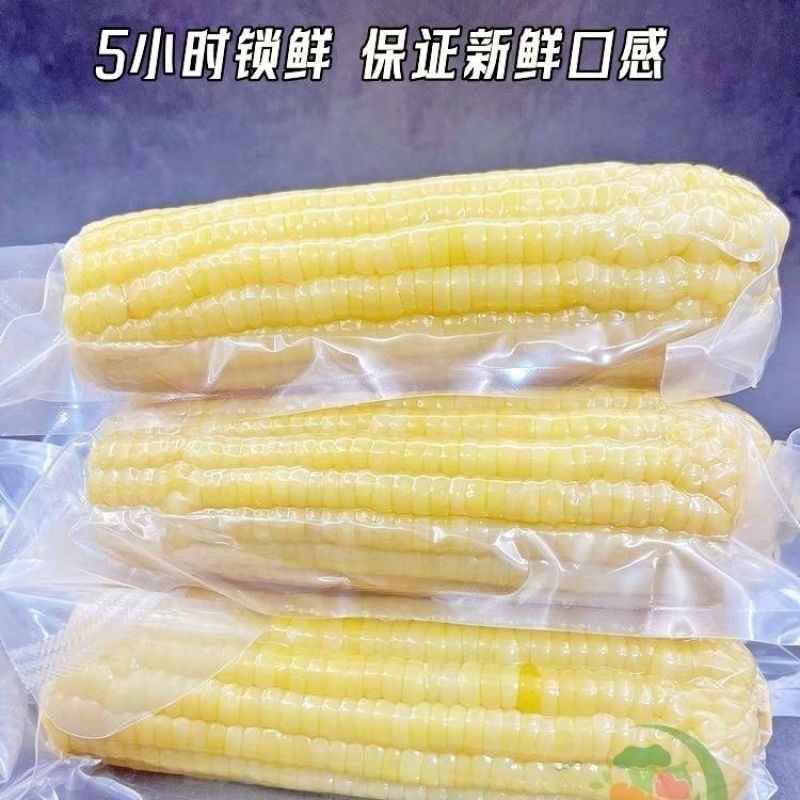 336甜糯玉米