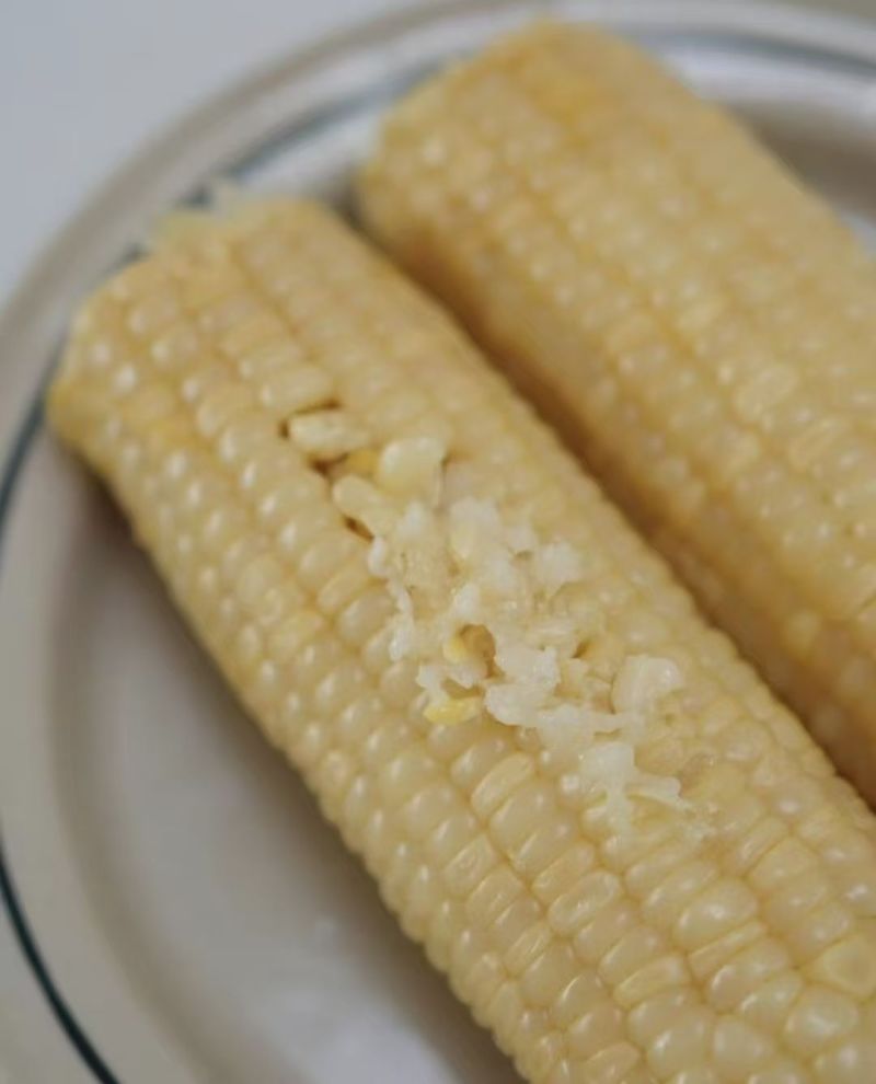 336甜糯玉米