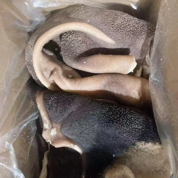 牛肚