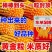 东单509，高抗高产玉米种，一手货源，原产地发货。