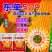 东单509，高抗高产玉米种，一手货源，原产地发货。