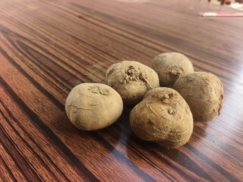 罗汉参香芋