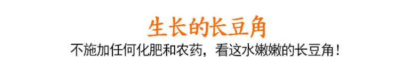 干豆角干豇豆干货农家自制嫩长豆角干批发湖南江西贵州特产干