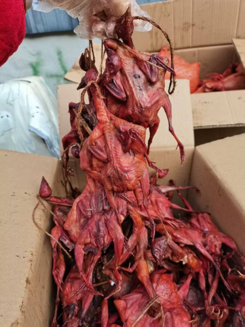 家养烟熏腊鹌鹑烧烤夜店景区煎炒烹炸烤100只起批常年批发