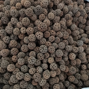 中药材路路通保质保量批发零售