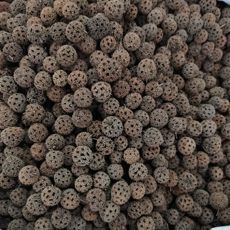 中药材路路通保质保量批发零售