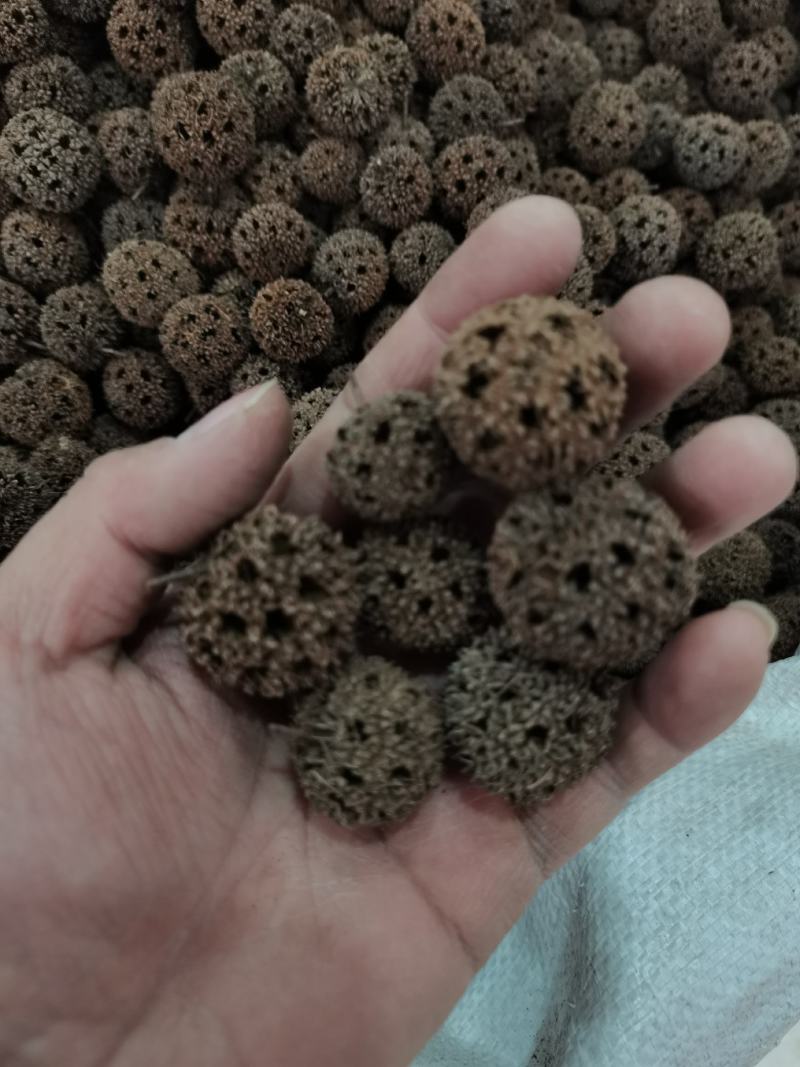 中药材路路通保质保量批发零售
