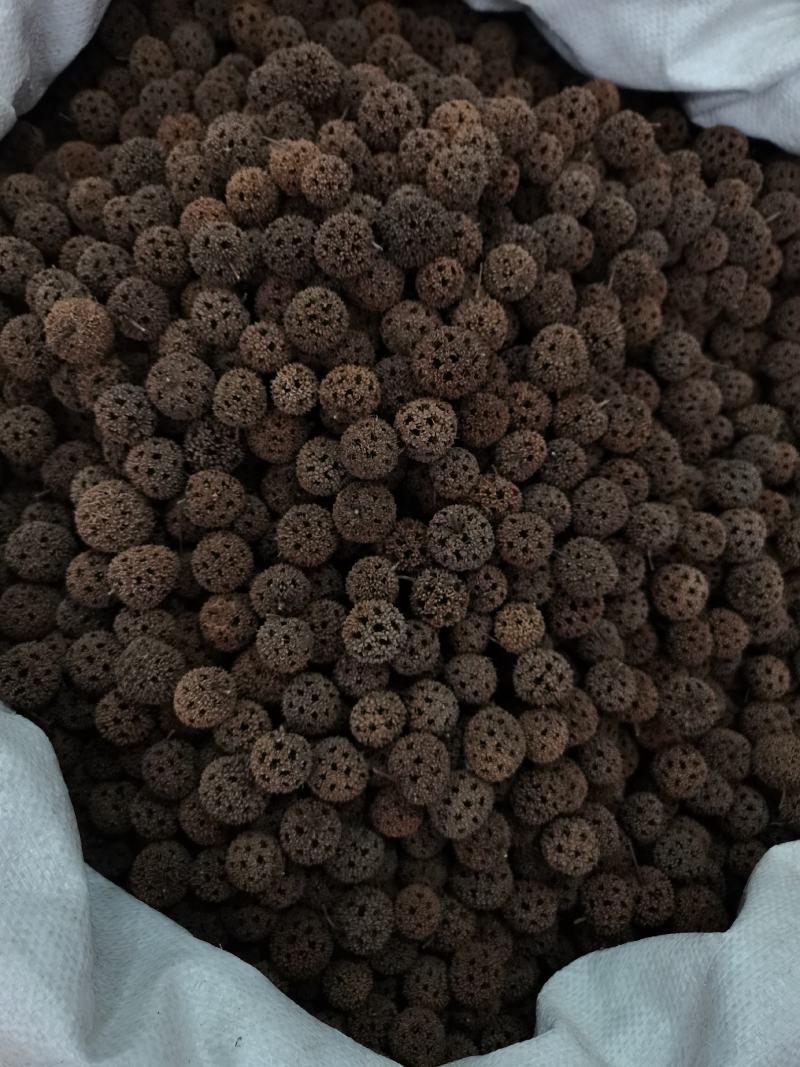 中药材路路通保质保量批发零售