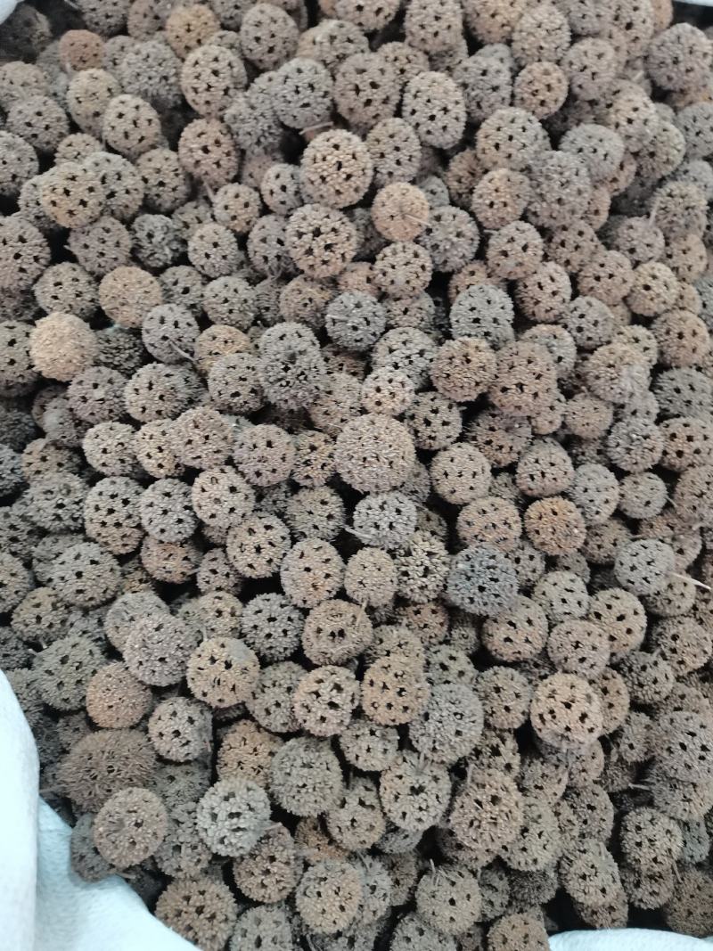 中药材路路通保质保量批发零售