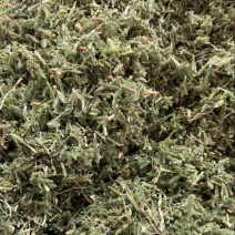 中药材伸筋草各种规格草药保质保量批发零售