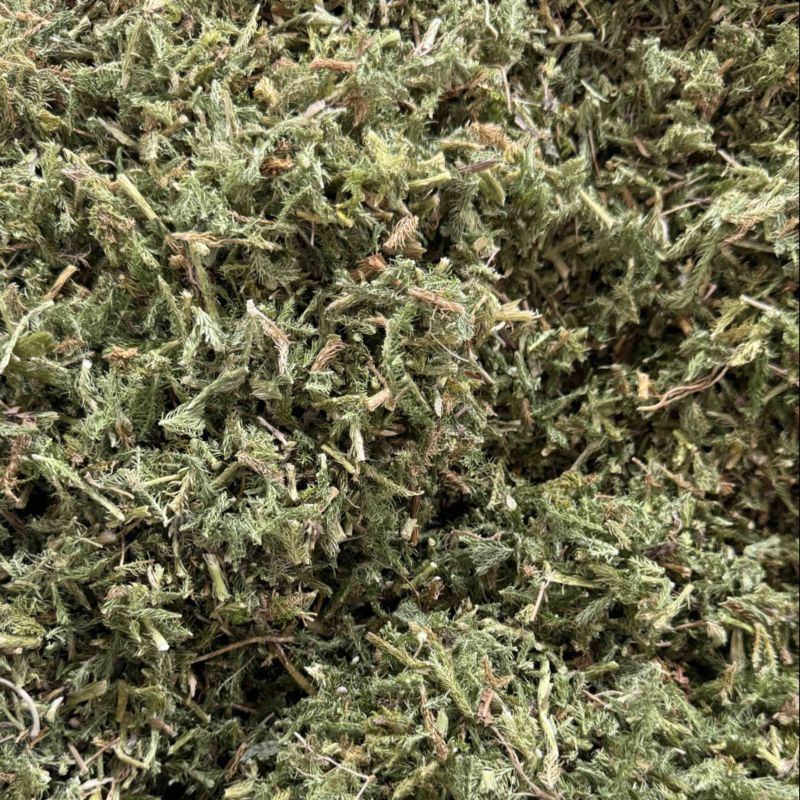 中药材伸筋草各种规格草药保质保量批发零售