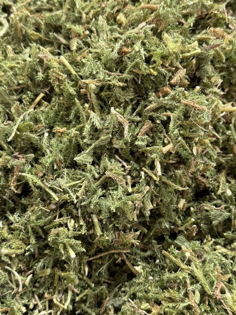 中药材伸筋草各种规格草药保质保量批发零售