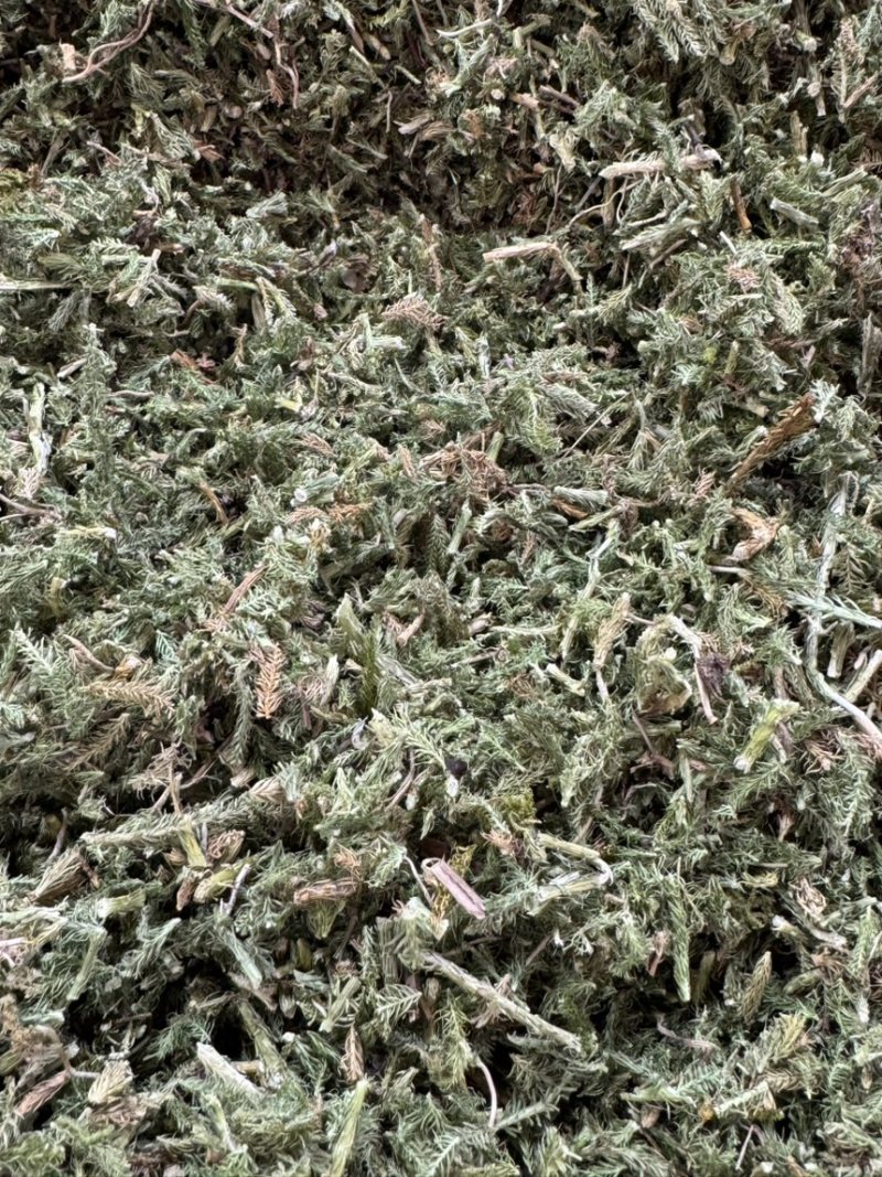 中药材伸筋草各种规格草药保质保量批发零售