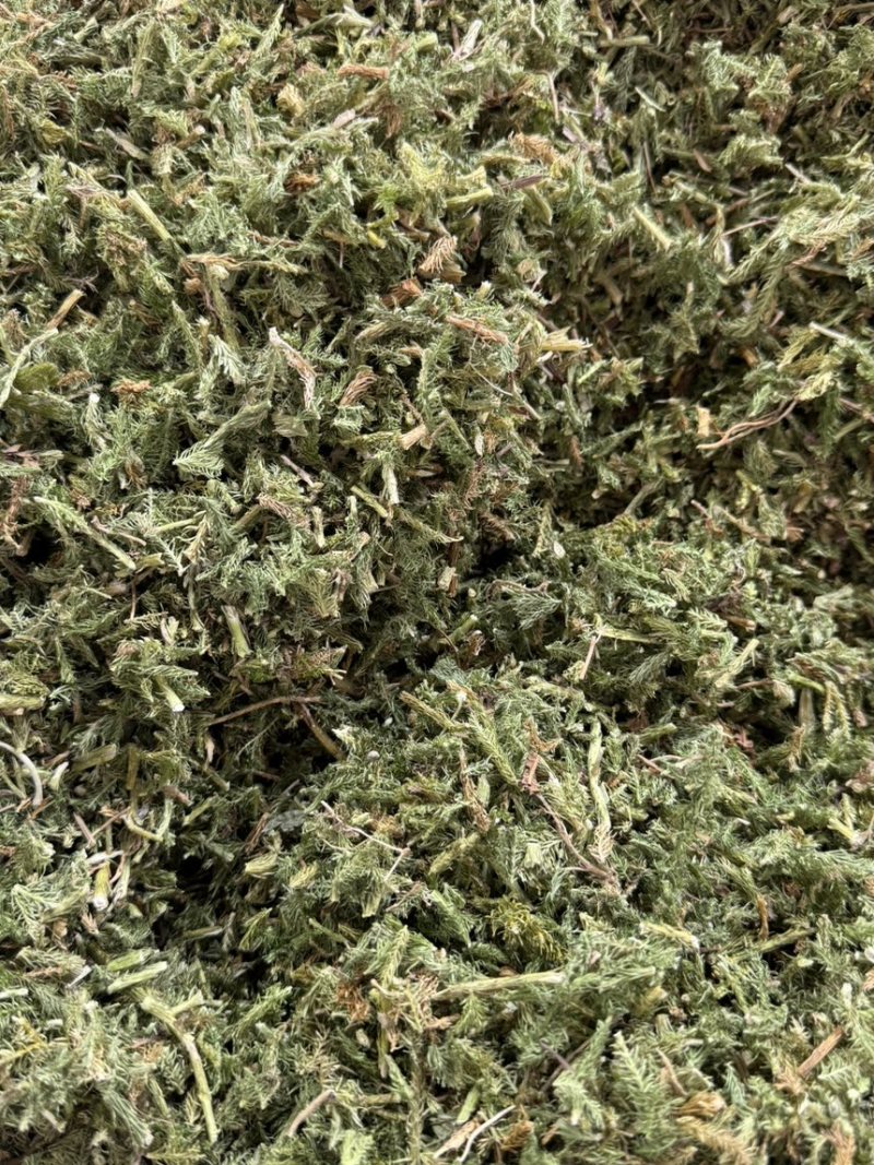 中药材伸筋草各种规格草药保质保量批发零售