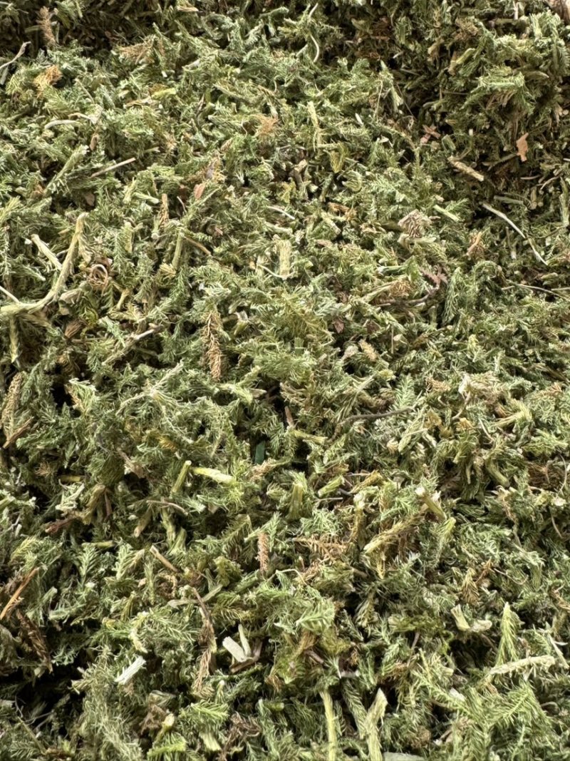 中药材伸筋草各种规格草药保质保量批发零售