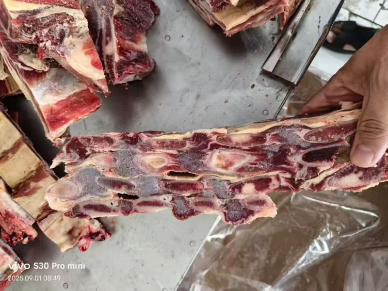 多肉牛肋排