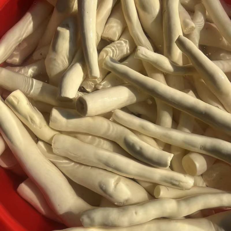 广西黄心木薯，支持全平台一件代发