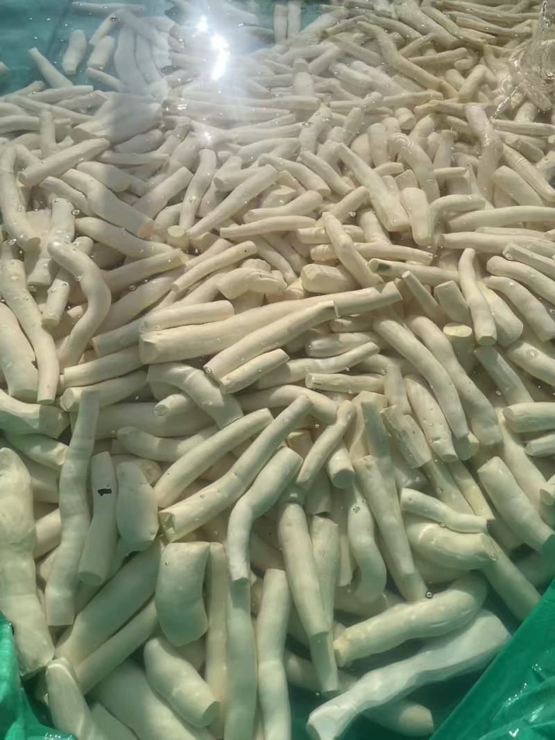 广西黄心木薯，支持全平台一件代发