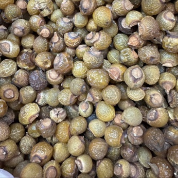 中药材无患子洗手果肥皂果皮各种规格保质保量批发零售