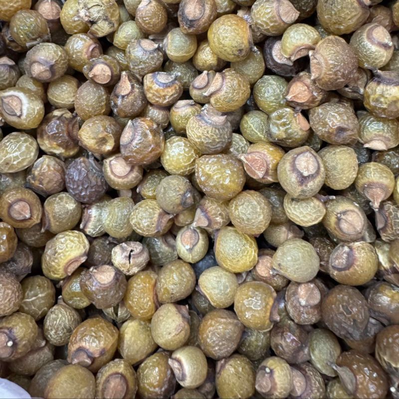 中药材无患子洗手果肥皂果皮各种规格保质保量批发零售