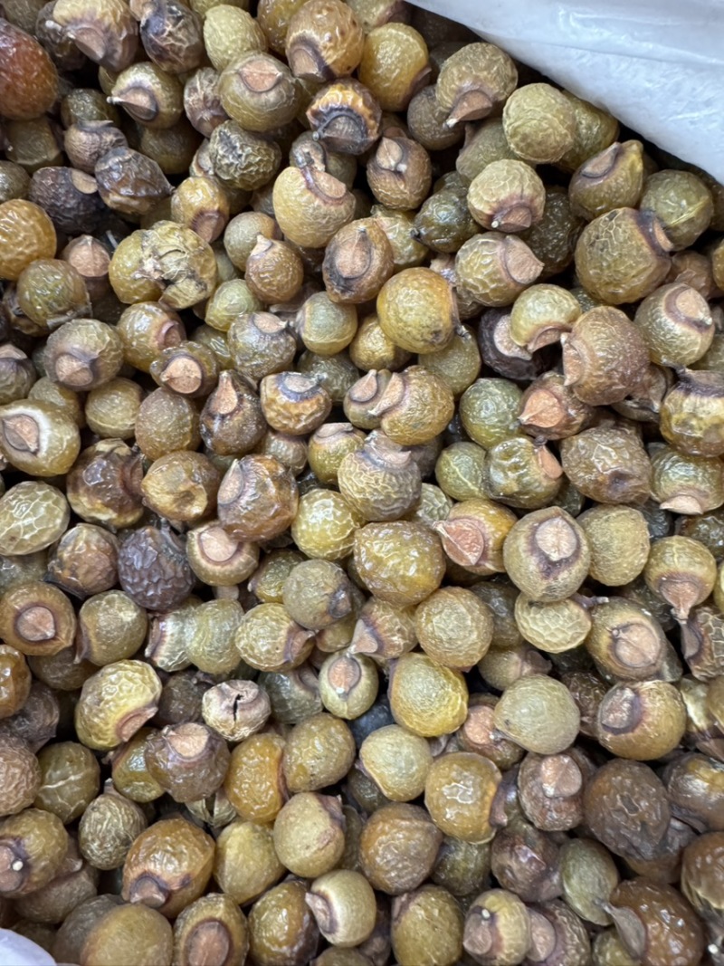 中药材无患子洗手果肥皂果皮各种规格保质保量批发零售