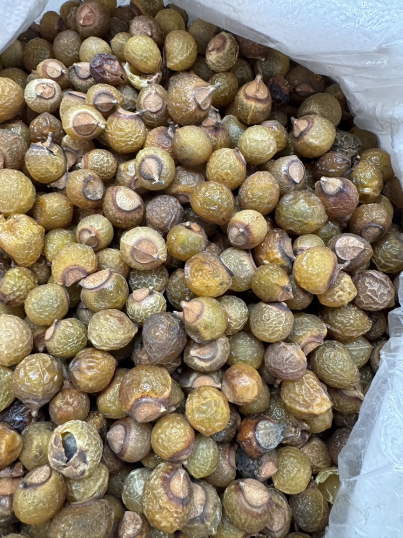 中药材无患子洗手果肥皂果皮各种规格保质保量批发零售