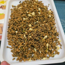 500g茉莉红茶滇红金螺新茶古树红茶蜜香浓香茉莉花茶