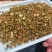 500g茉莉红茶滇红金螺新茶古树红茶蜜香浓香茉莉花茶