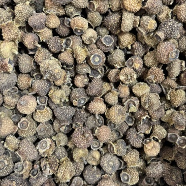 中药材刺梨果实茨梨木梨子各种规格批发零售保质保量